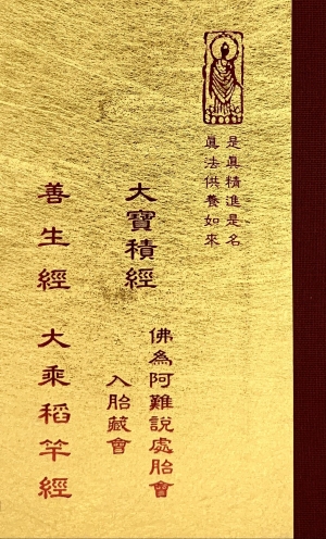 隨22 善生經 大乘稻竿經 入胎藏会 (尺 寸:15.5 x 11.0 x 1.9公分) 1