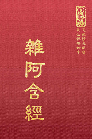 經36 雜阿含經 (尺寸: 21.5 x 15.5 x 5.6公分) 1